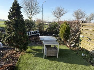 Tuin