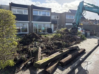 Tuin Leeg
