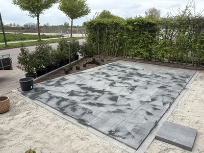 Planten