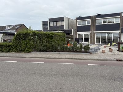 Planten