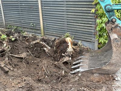 Tuin